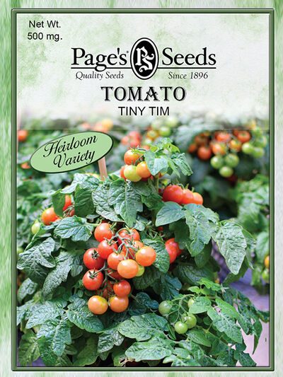 Tomato Tiny Tim