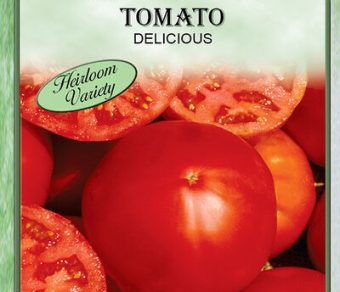 Tomato Delicious