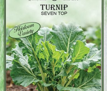 Turnip Seven Top