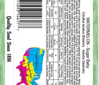 Watermelon Sugar Baby