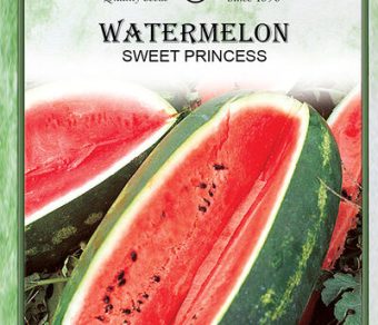 Watermelon Sweet Princess