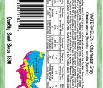 Watermelon Charleston Grey