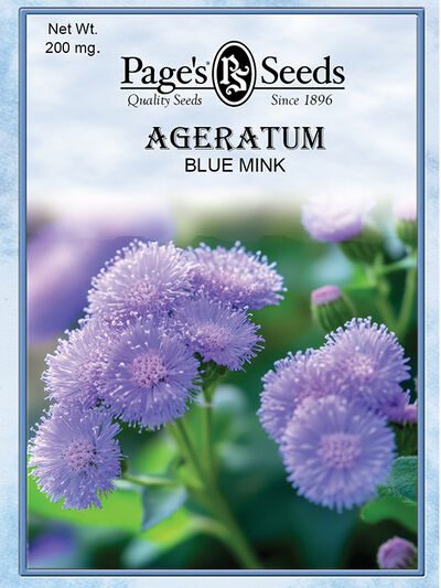 Ageratum Blue Mix