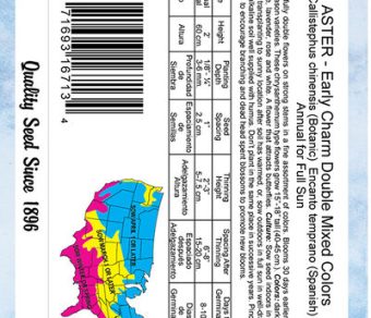 Aster Early Charm Double Mix
