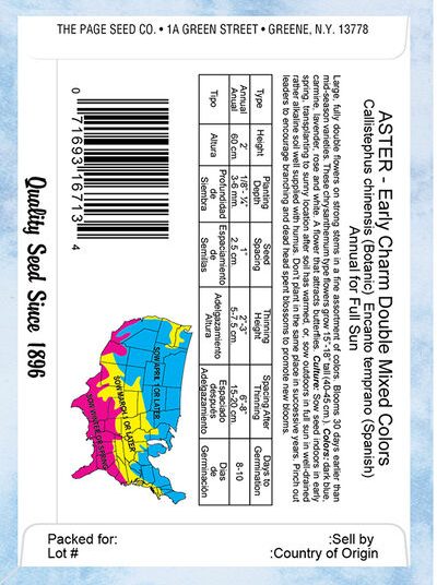 Aster Early Charm Double Mix