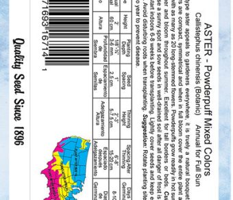 Aster Powderpuff Mixed Colors