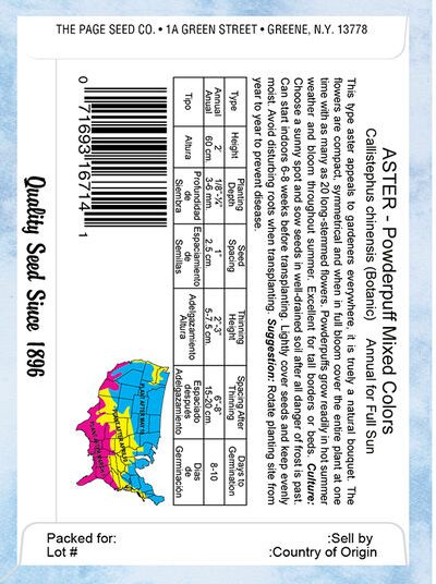 Aster Powderpuff Mixed Colors