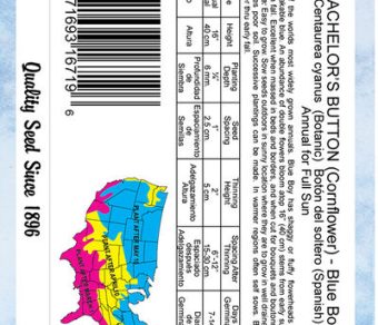 Bachelor's Button Blue Boy