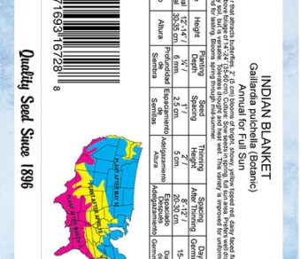 Indian Blankey Gaillardia