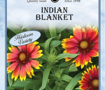Indian Blankey Gaillardia