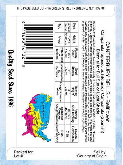 Canterbury Bell Mixed Colors