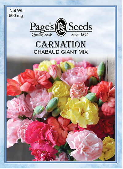P735-CARNATION-Chabauds-Giant- P735-CARNATION-Chabauds-Giant-