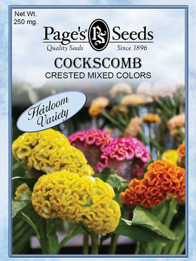 Cockscomb Crested Mixed Colors