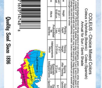 Coleus Choice Mixed Colors