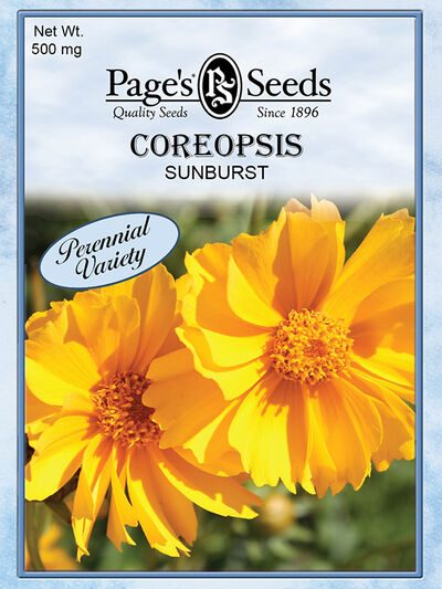 Coreopsis Sunburst