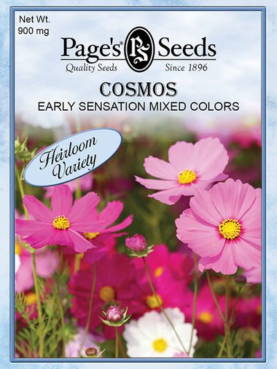 Cosmos Early Sensation Mix
