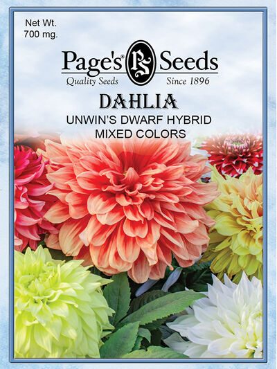 Dahlia Unwin's Dwarf Mixed Colors