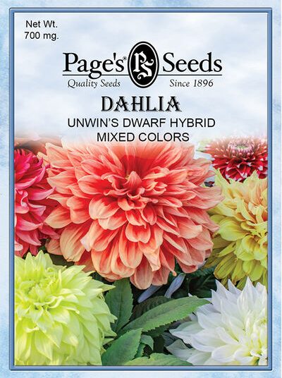 Dahlia Unwin's Dwarf Mixed Colors