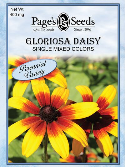 Gloriosa Daisy Single Mix