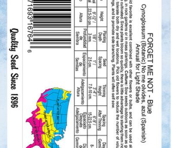 Forget Me Not Cynoglossum