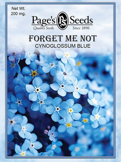 Forget Me Not Cynoglossum