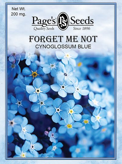 Forget Me Not Cynoglossum
