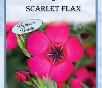 Scarlet Flax