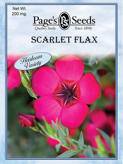 Scarlet Flax