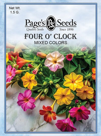 Four O'Clock Mixed Colors
