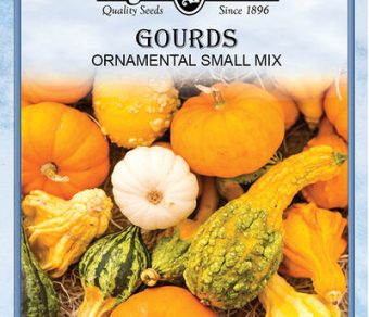 Gourds Ornamental Small Mixed