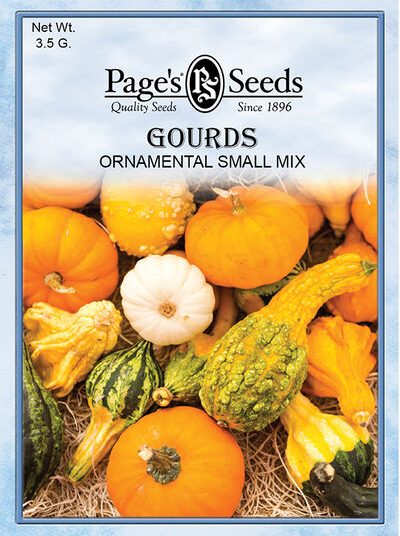 Gourds Ornamental Small Mixed