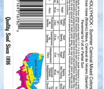 Hollyhock Summer Carnival Mixture