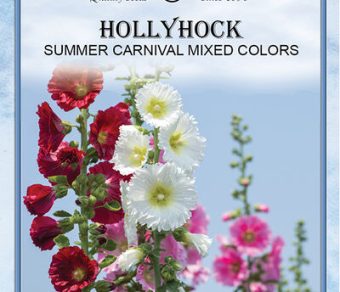 Hollyhock Summer Carnival Mixture