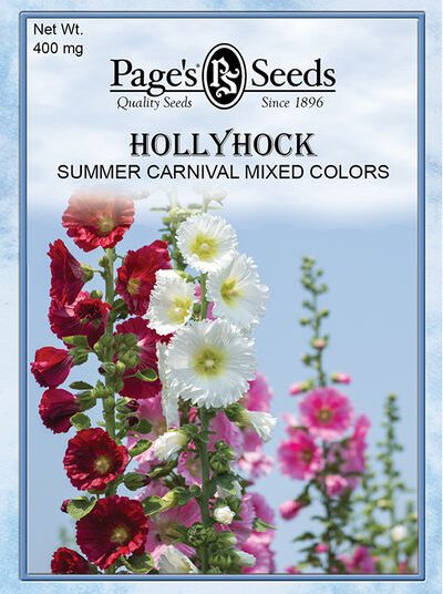 Hollyhock Summer Carnival Mixture