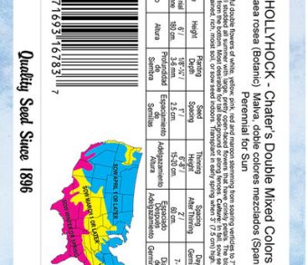 Hollyhock Chater's Double Mixed Colors