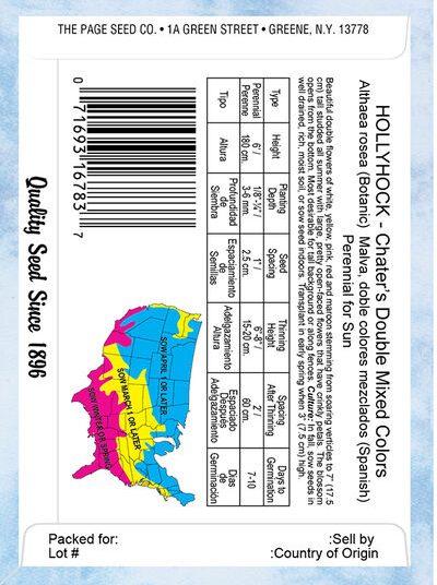 Hollyhock Chater's Double Mixed Colors