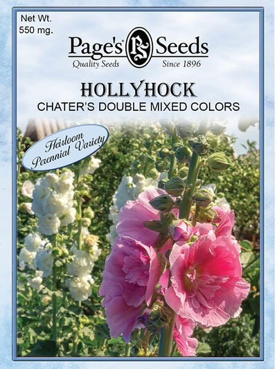 Hollyhock Chater's Double Mixed Colors