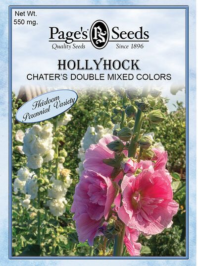 Hollyhock Chater's Double Mixed Colors