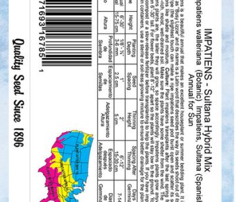 Impatiens Sultana Hybrid