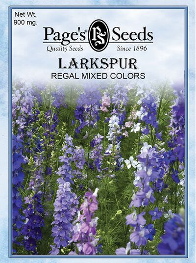 Larkspur Regal Mixed Colors