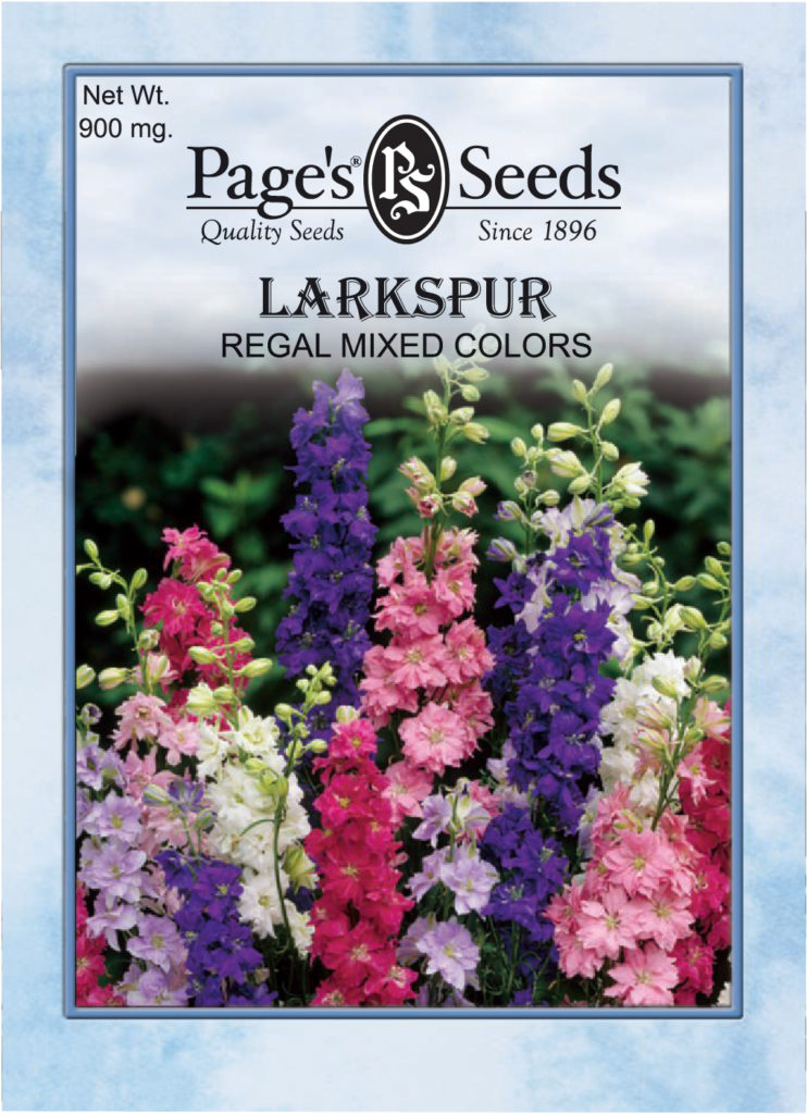 Larkspur, Regal Mixed Colors The Page Seed Company, Inc