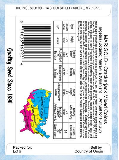 Marigold Crackerjack