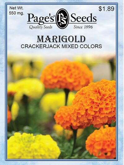 Marigold Crackerjack