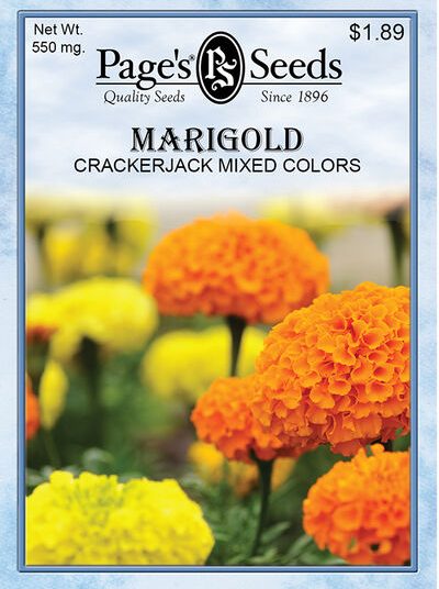 Marigold Crackerjack