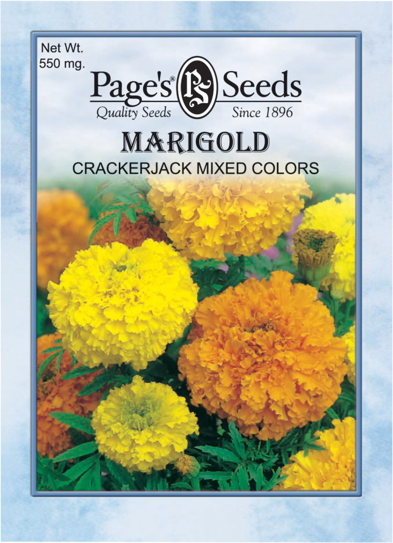 Marigold, Crackerjack Mixed Colors The Page Seed Company, Inc