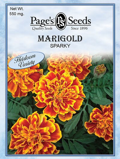 Marigold Sparky