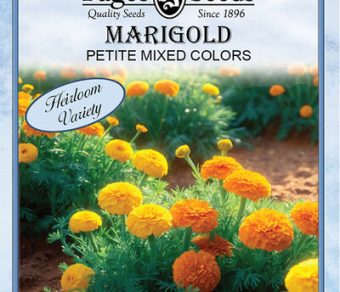 Marigold Petite Mixed Colors