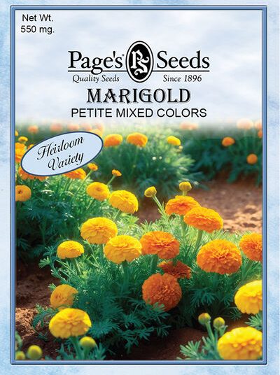 Marigold Petite Mixed Colors