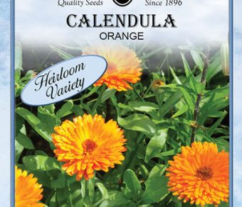 Calendula Orange