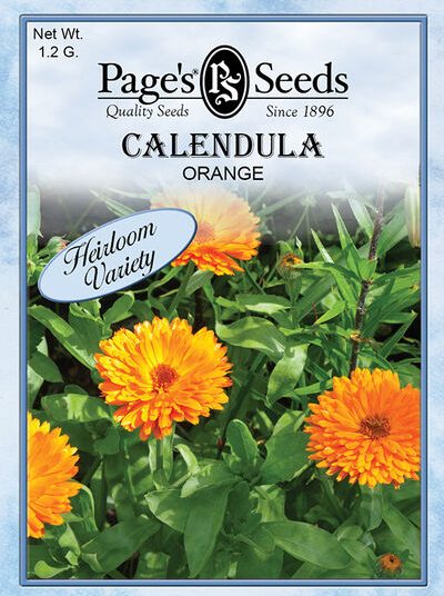 Calendula Orange